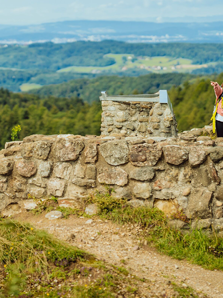 5 idyllic fall hikes in the Winterthur region 5 idyllic fall hikes in the Winterthur region