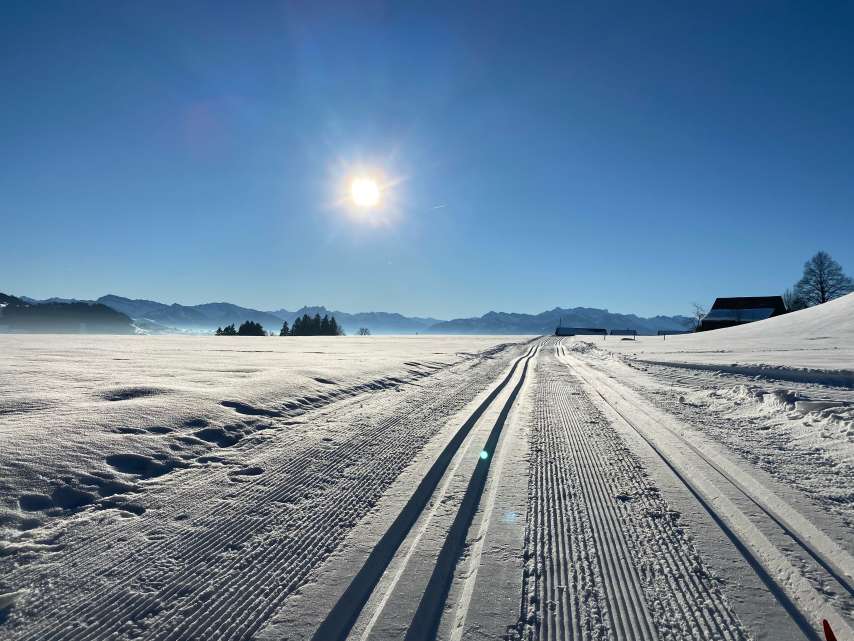 5 beautiful cross-country ski trails in the Winterthur region 5 beautiful cross-country ski trails in the Winterthur region