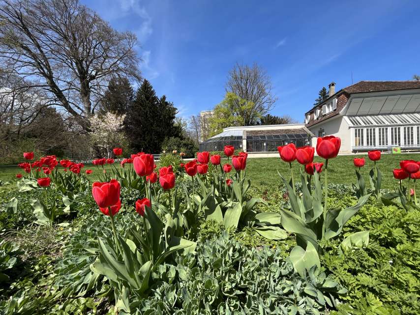 5 relaxing parks in Winterthur 5 relaxing parks in Winterthur