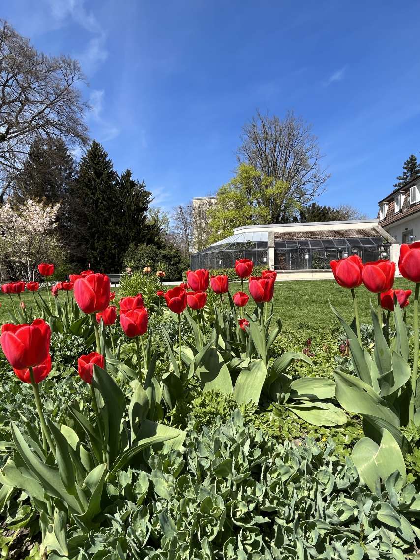 5 relaxing parks in Winterthur