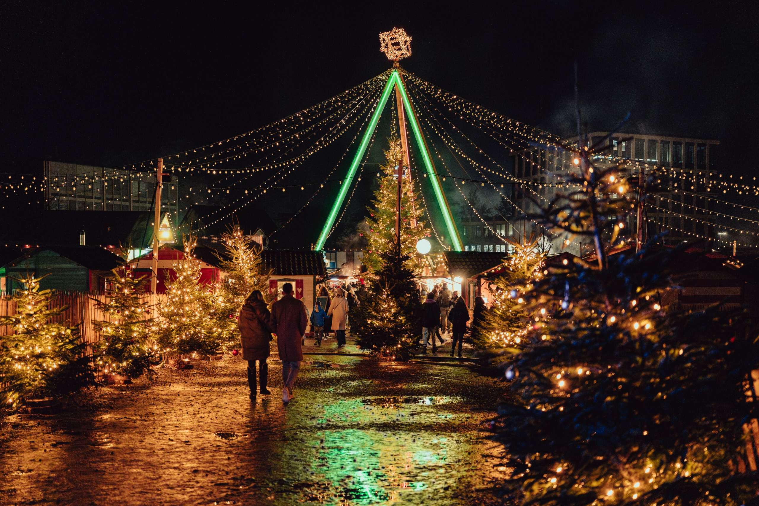 Winter, winter market, Advent, Christmas lights, Christmas, Christmas tree, Christmas season