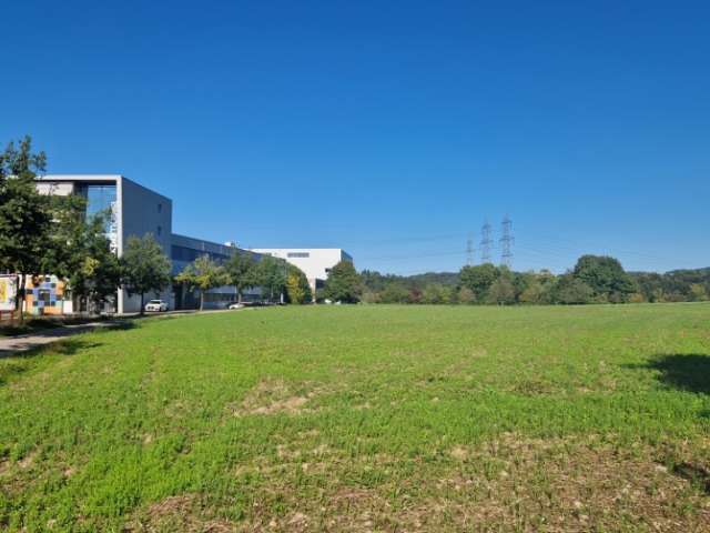 Property Riet Langhag