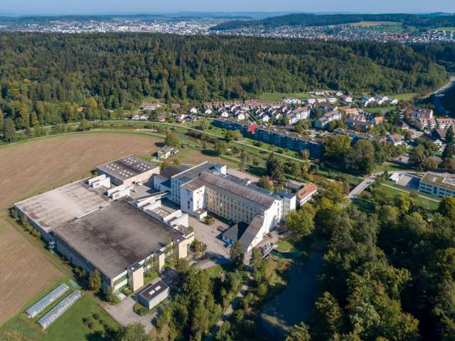 Hermann Bühler site