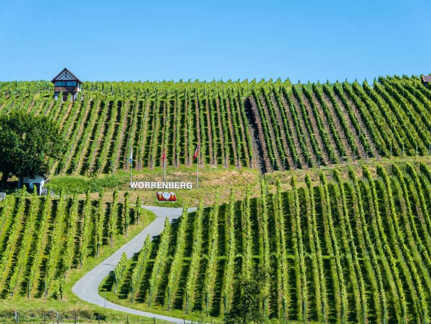 The wine trails of the Zurich wine country The wine trails of the Zurich wine country