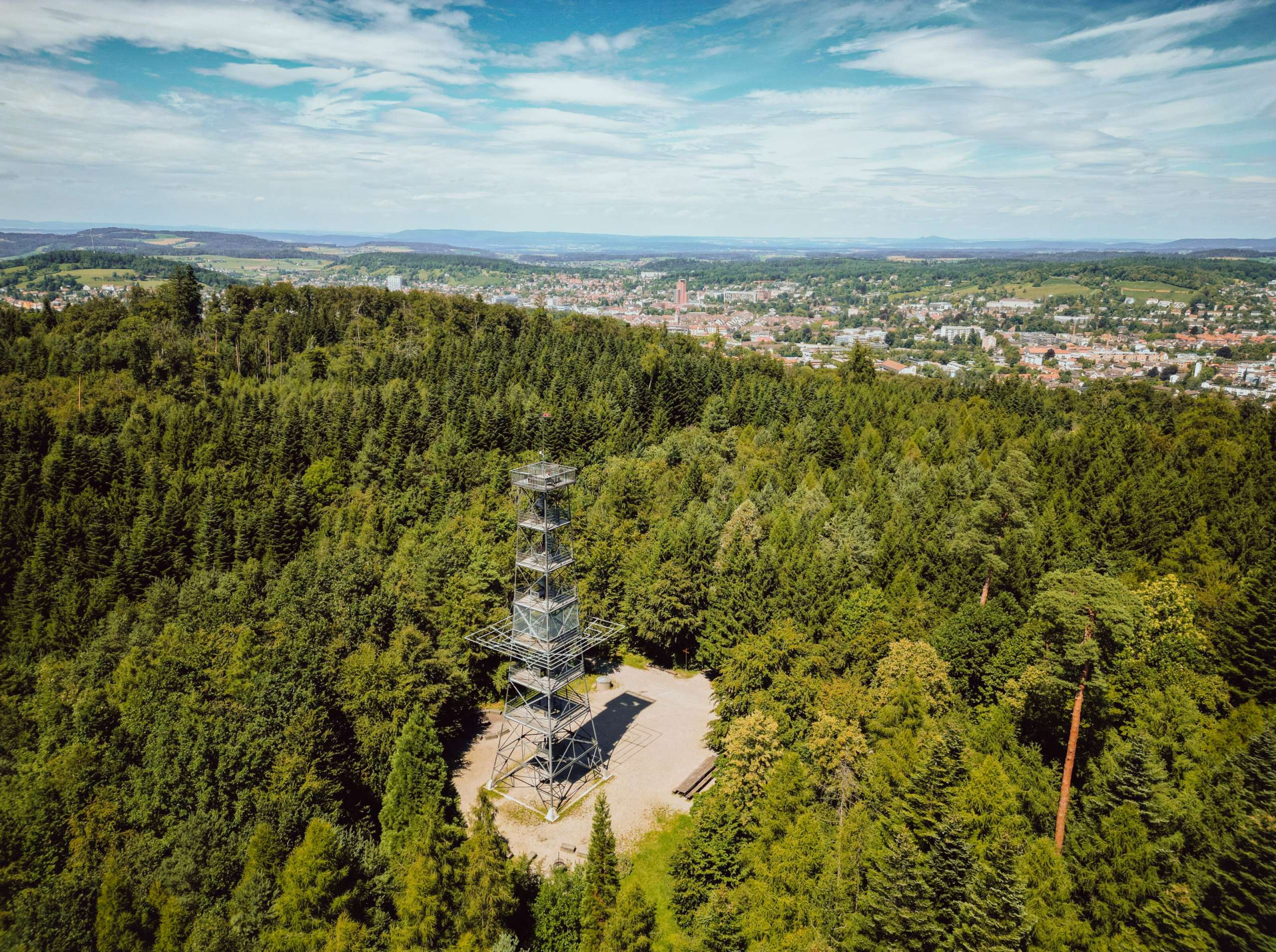 Forest, View
