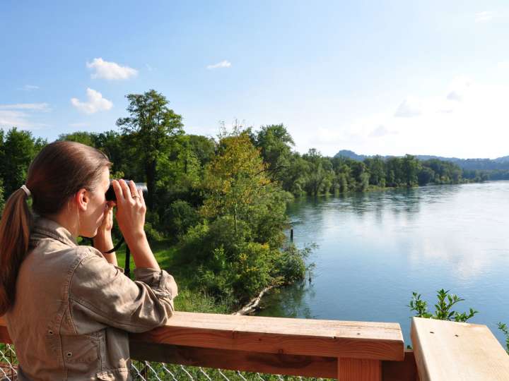 Thurauen Nature Center