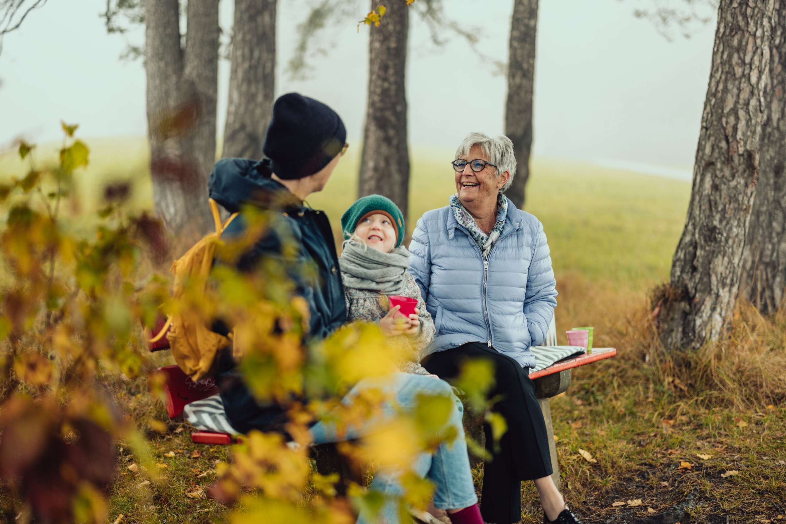 Fog, children, bench, child, forest, grandparents, family outing, families, parents