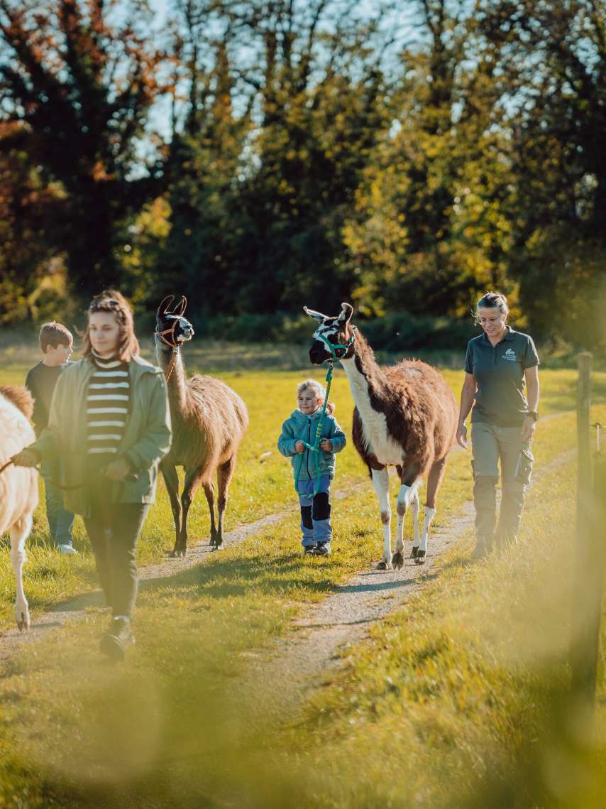 5 cool excursions for families in Winterthur 5 cool excursions for families in Winterthur