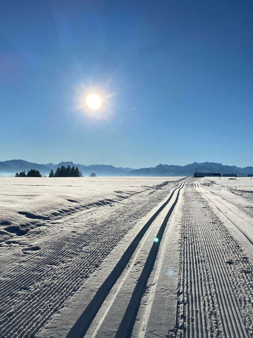 5 beautiful cross-country ski trails in the Winterthur region