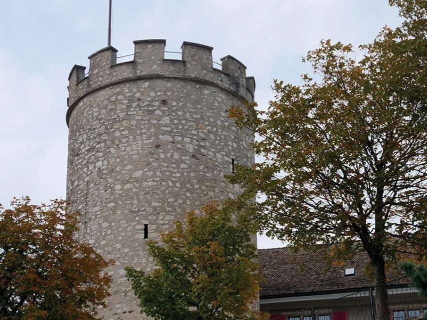 Guided tours