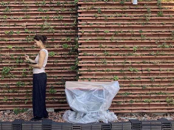 Researchers Unveil a Green Brick Facade with a Cooling Effect