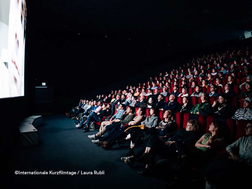 International Short Film Festival