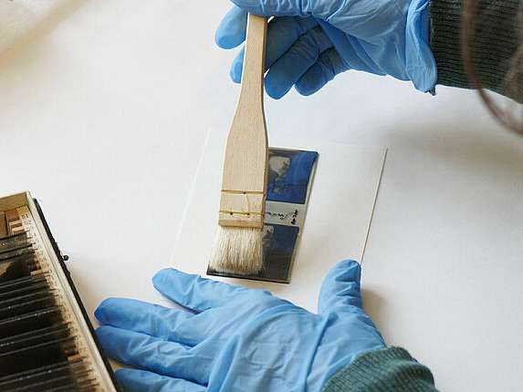 The Swiss Photo Foundation Preserves and Digitizes 160 Photo Archives