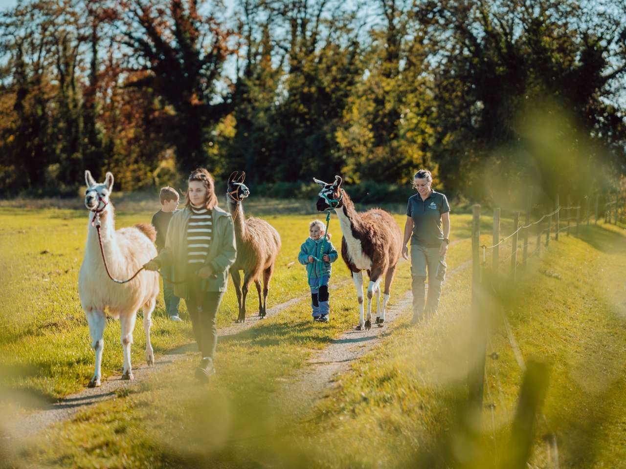 Activities for families