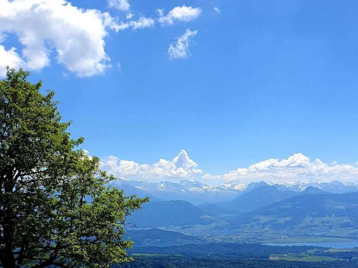 Hike up the Bachtel