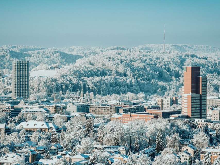 2025 company survey: Location satisfaction remains high