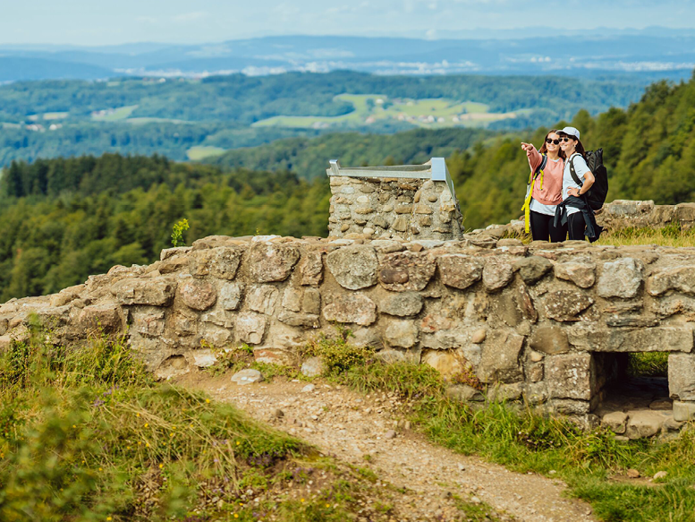 5 idyllic fall hikes in the Winterthur region 5 idyllic fall hikes in the Winterthur region