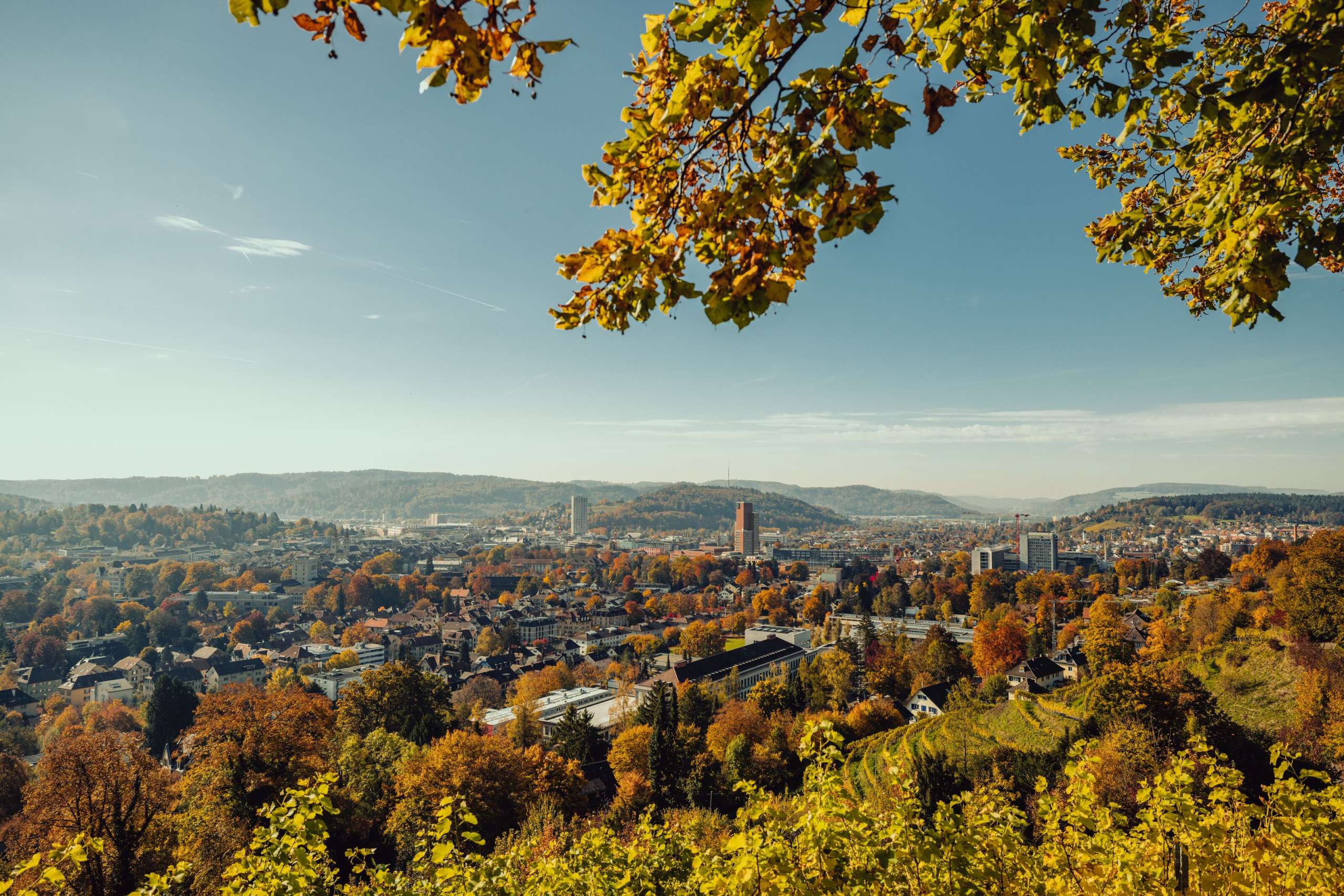 View, lookout point, Goldenberg
