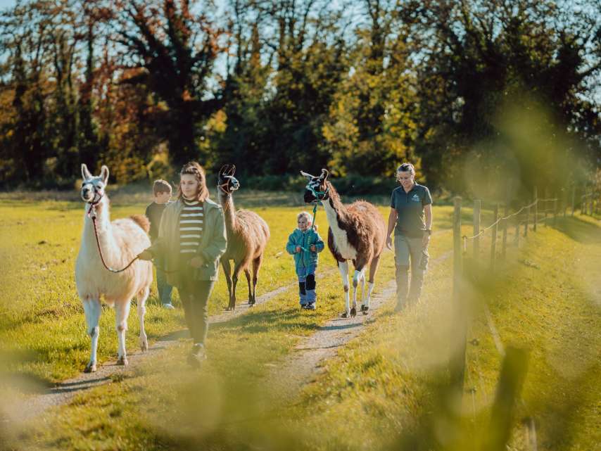 5 cool excursions for families in Winterthur 5 cool excursions for families in Winterthur