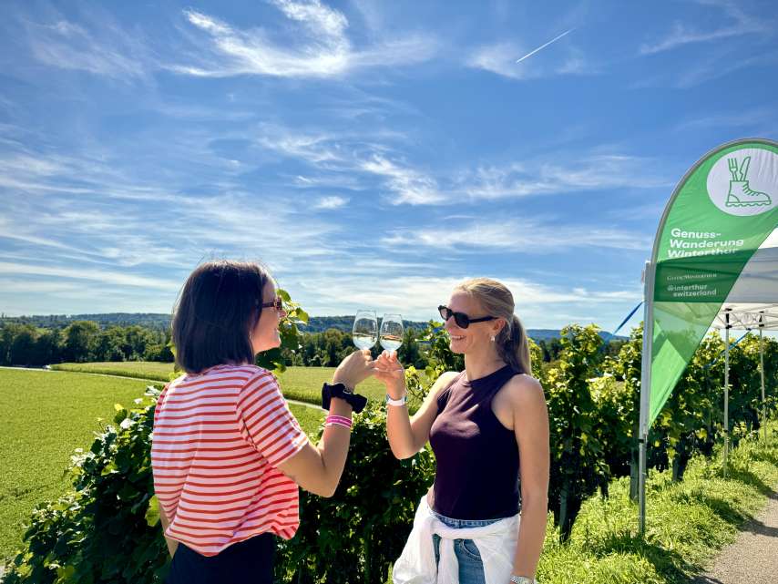 7th Winterthur Genuss-Wanderung successfully completed