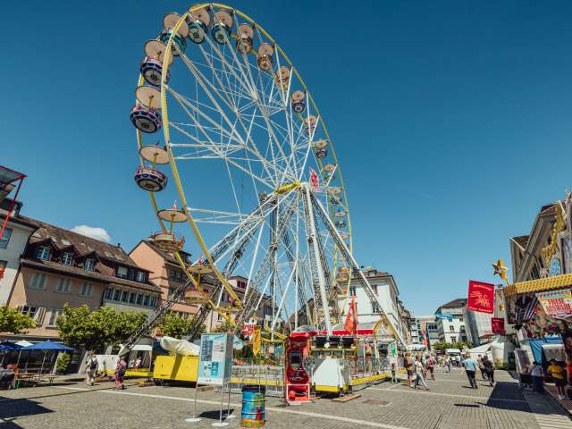 Special public tours