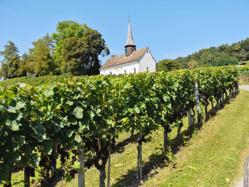 5 wine producers from the Winterthur region 5 wine producers from the Winterthur region