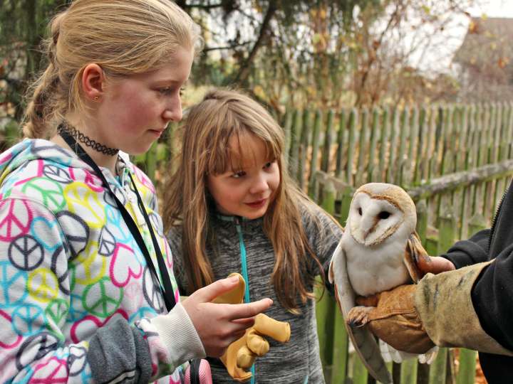 Berg am Irchel Bird of Prey Station