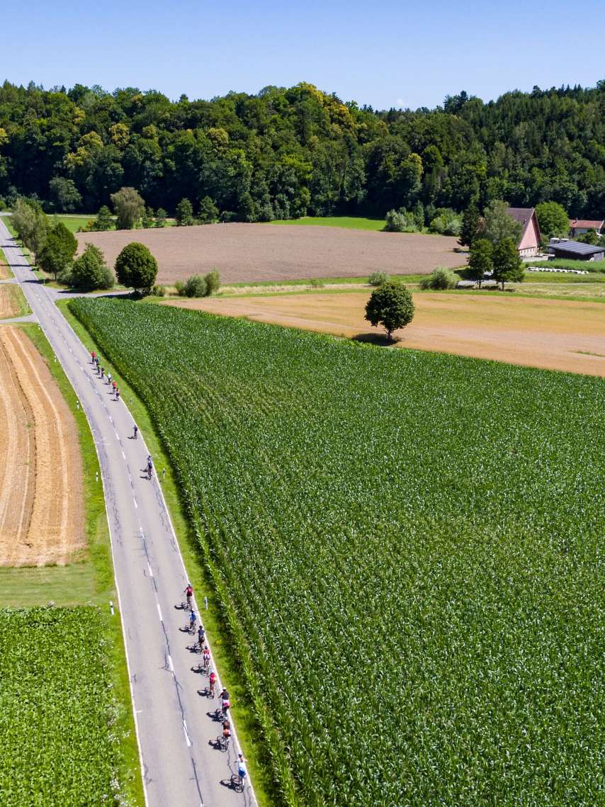 Experience the RheinWelten - the e-bike route between enjoyment, adventure and nature Experience the RheinWelten - the e-bike route between enjoyment, adventure and nature