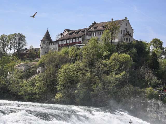 Laufen Castle at the Rhine Falls